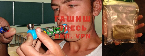 дмт Инсар