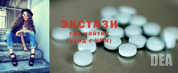 гидра Инта