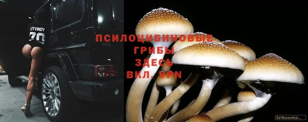 эйфоретик Каменногорск