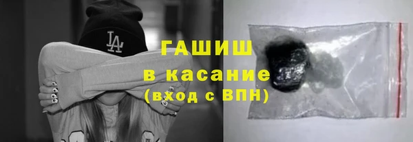 гидра Инта