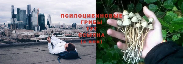 эйфоретик Каменногорск