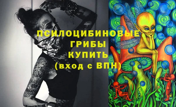apvp Яранск
