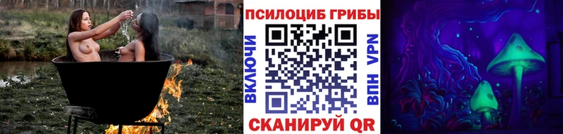 Купить закладки  Рудня  Галлюциногенные грибы прущие грибы 